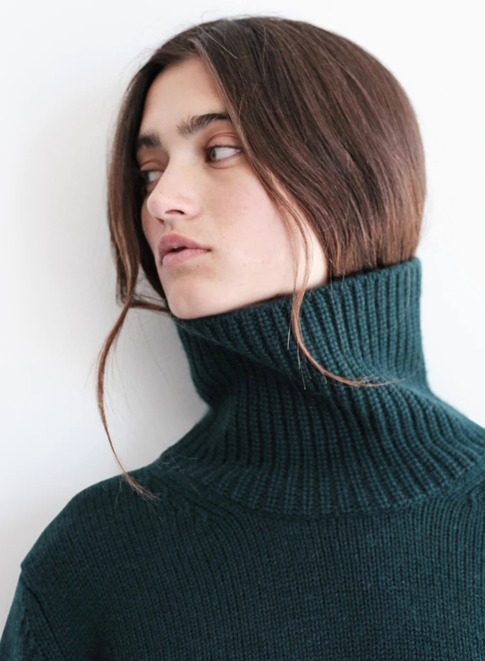 Rainforest Cashmere Turtleneck