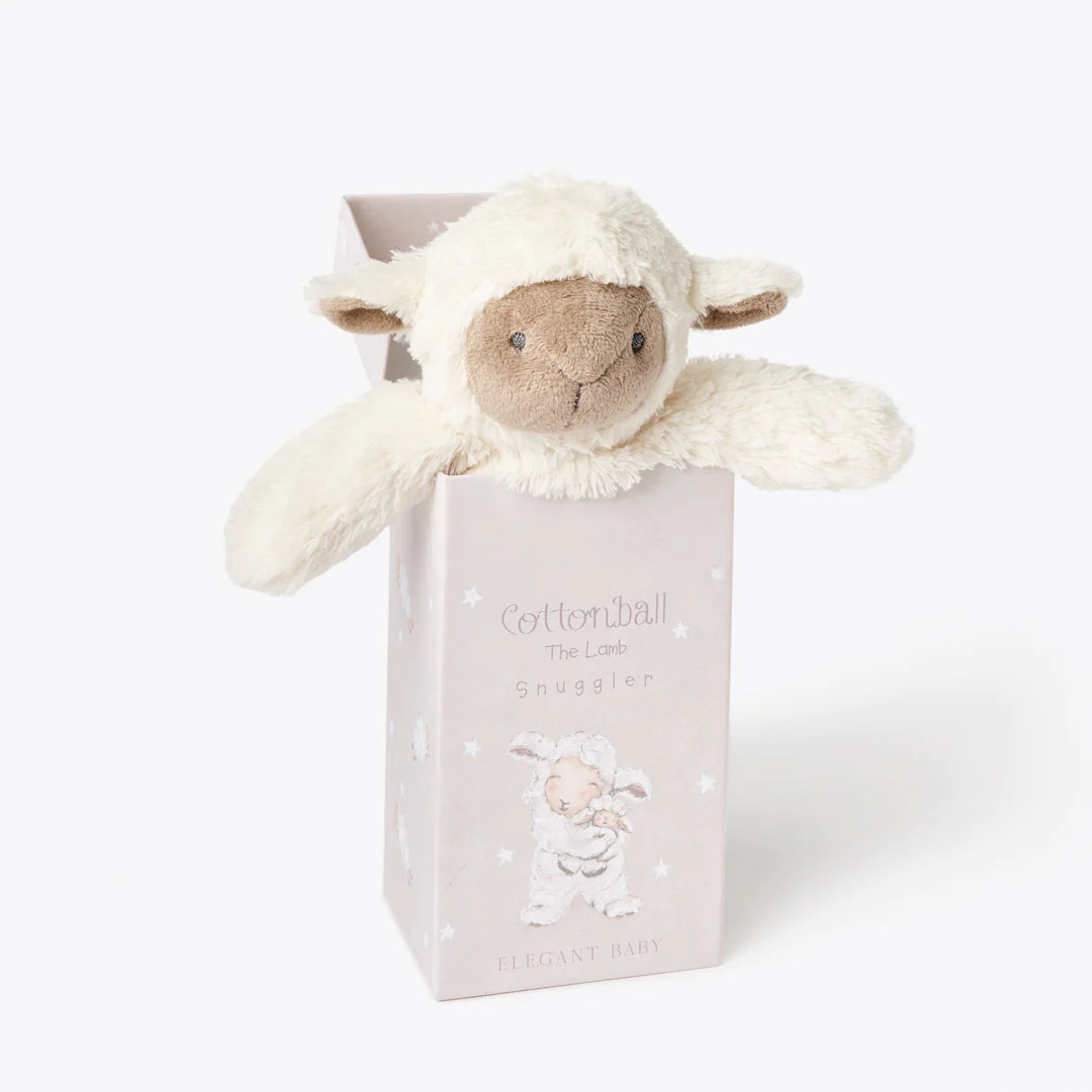 Cottonball the Lamb