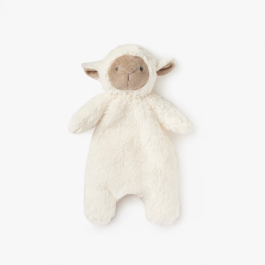 Cottonball the Lamb