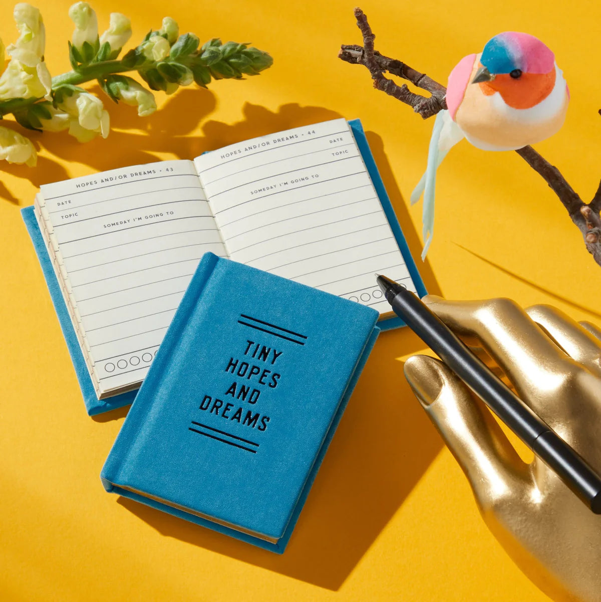Tiny Hopes & Dreams Book