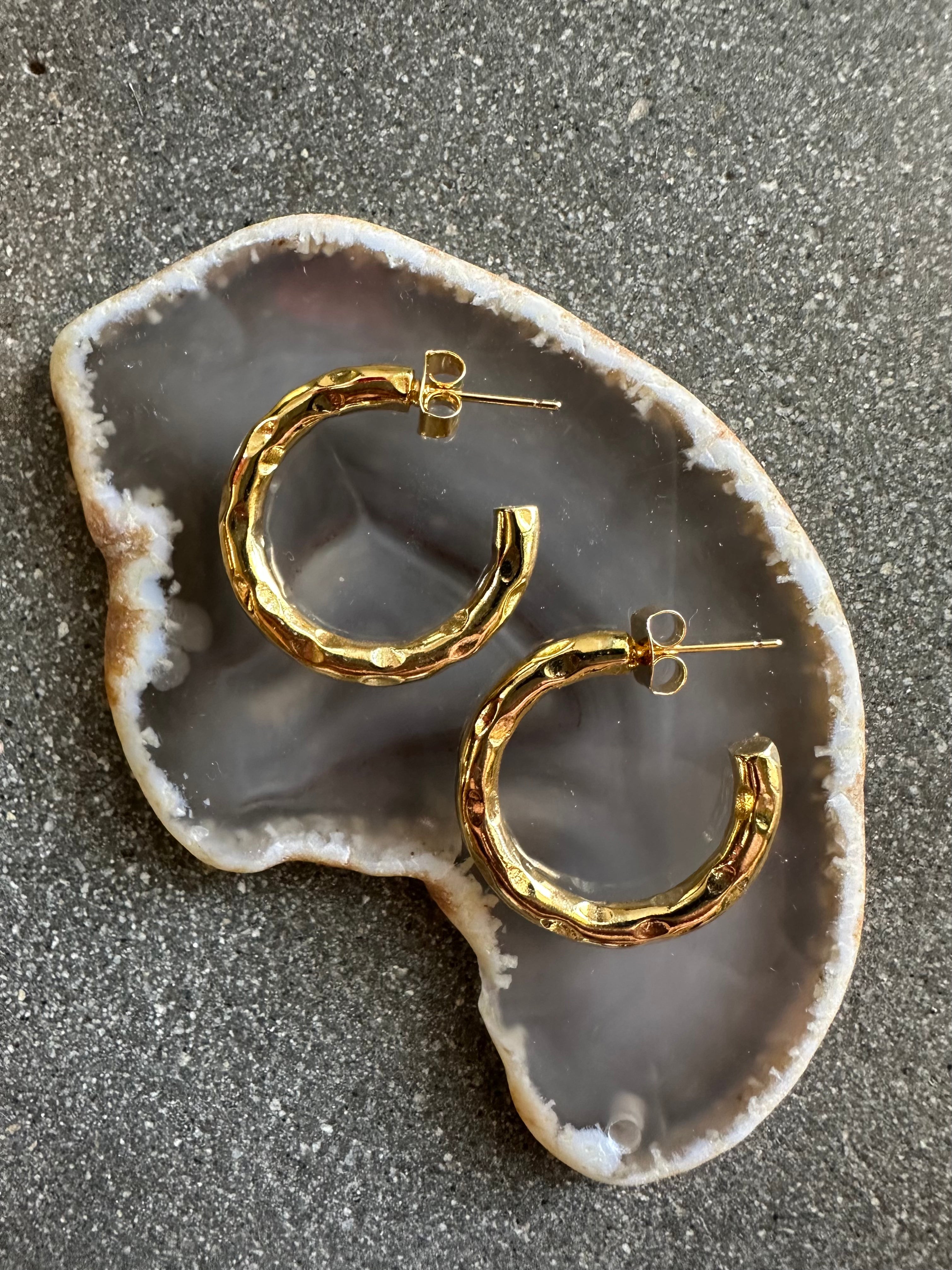 Lisa Hoops