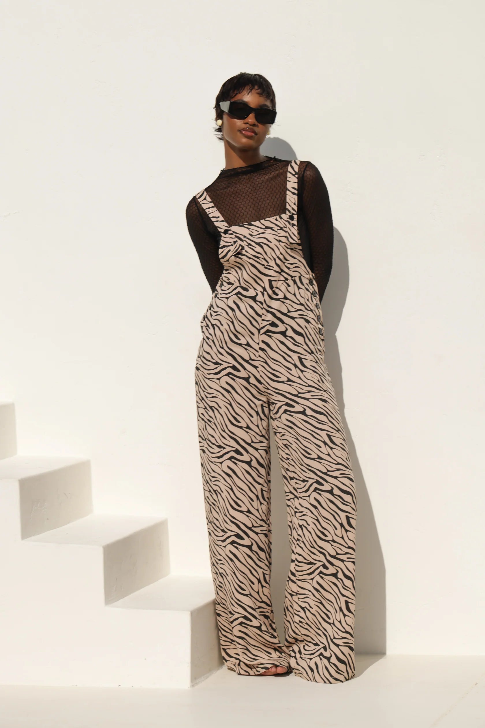 Aphelandra Overall