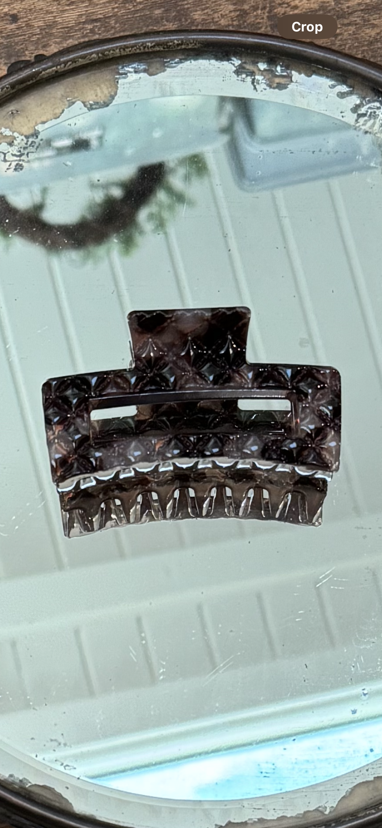 Tortoise Hair Clips