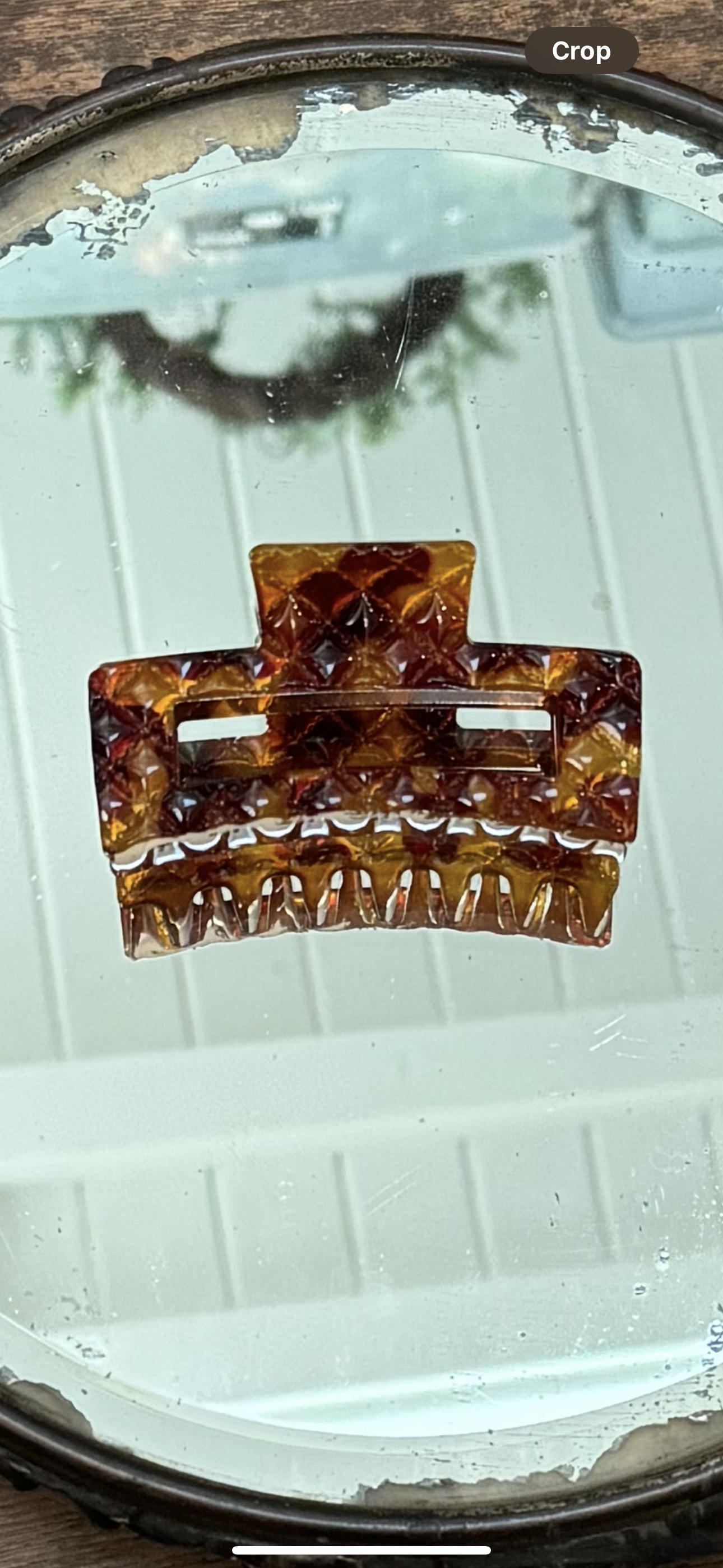 Tortoise Hair Clips