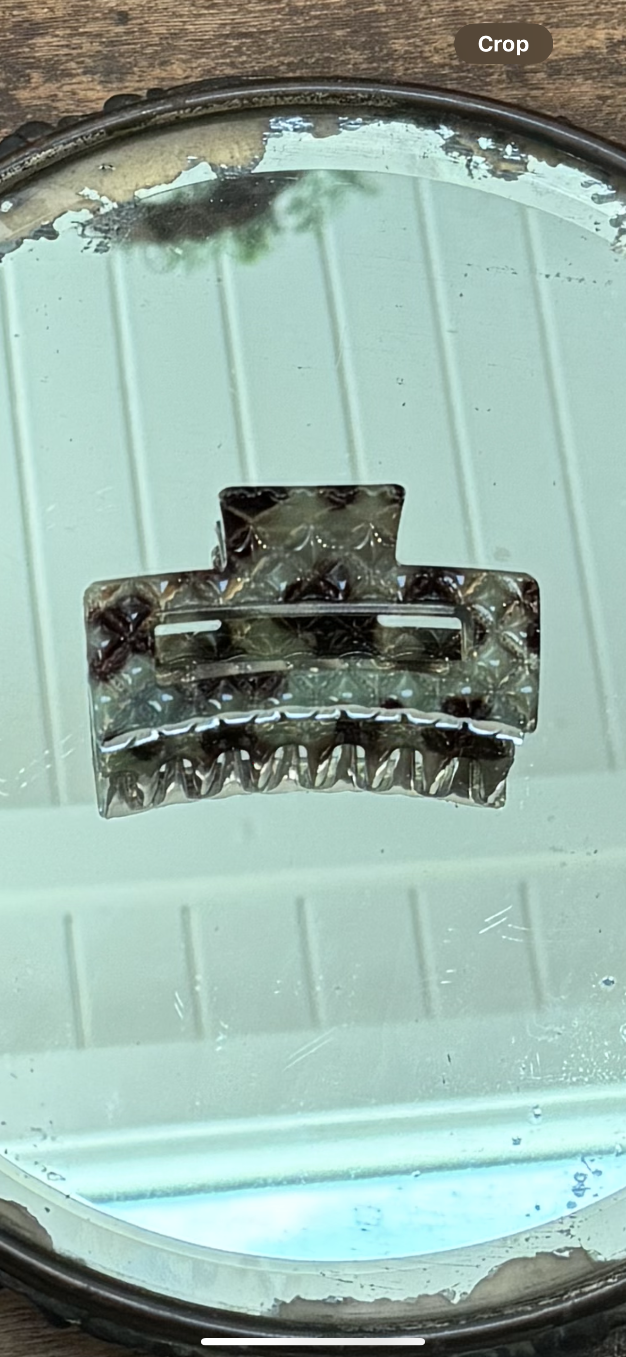 Tortoise Hair Clips