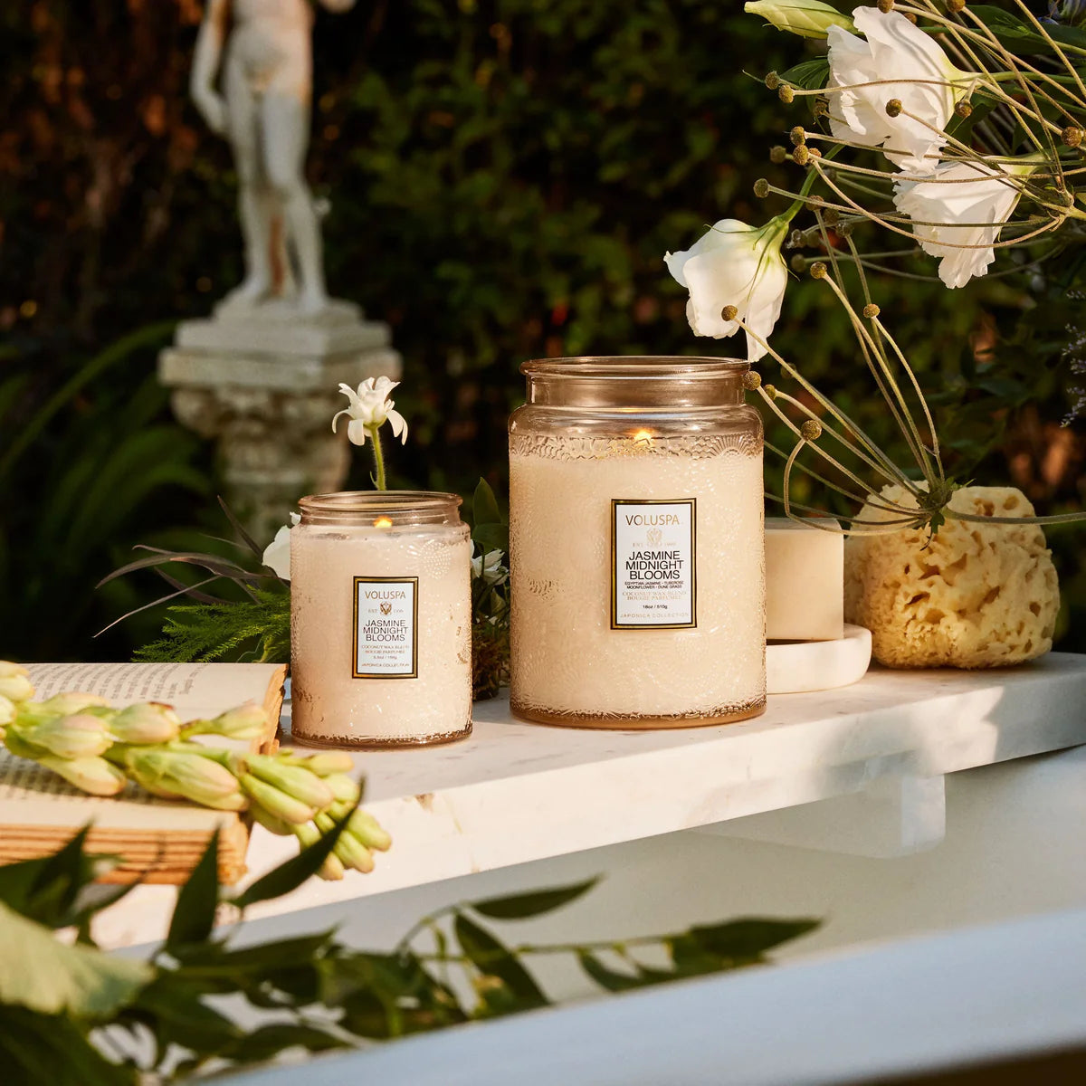 Jasmine Midnight 5.5 oz Jar