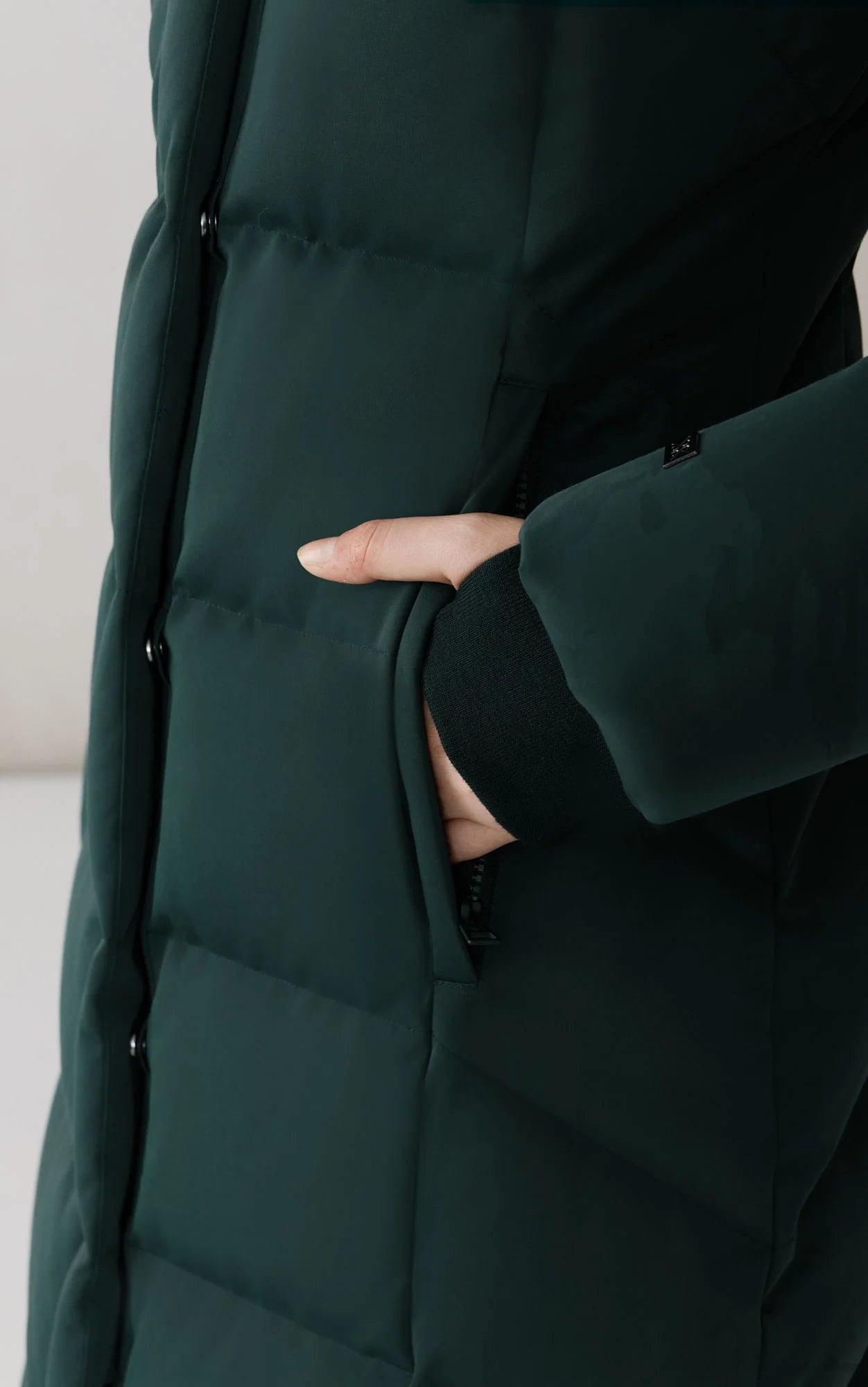 Midnight Forest Talyse