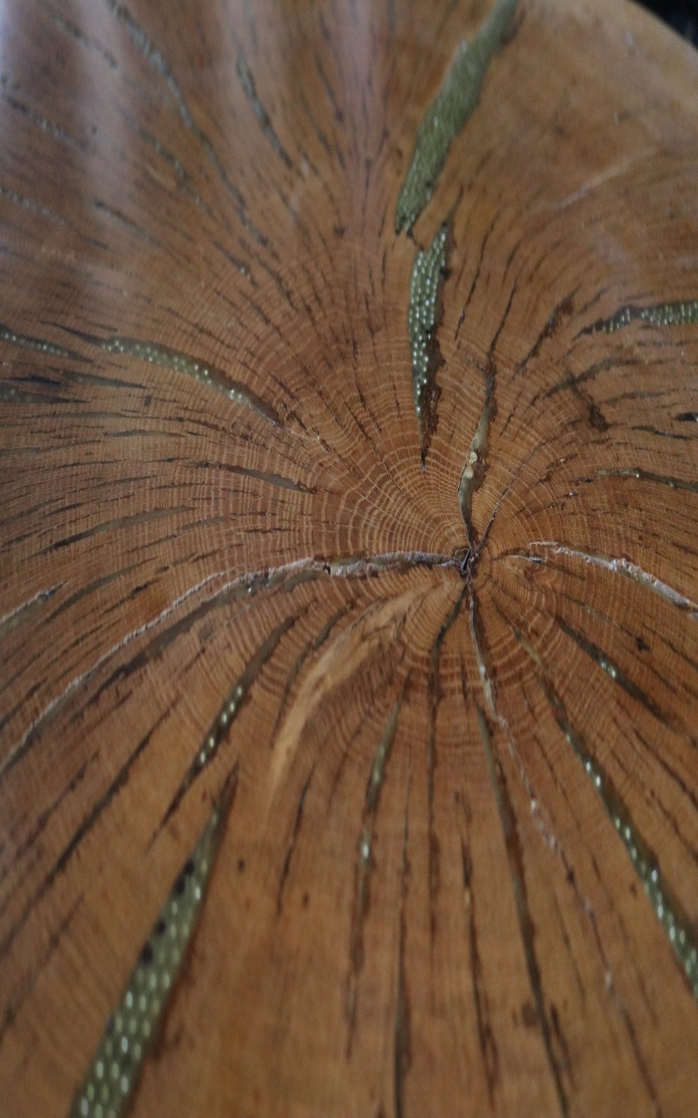 Tree Table - Whiskey & Leather