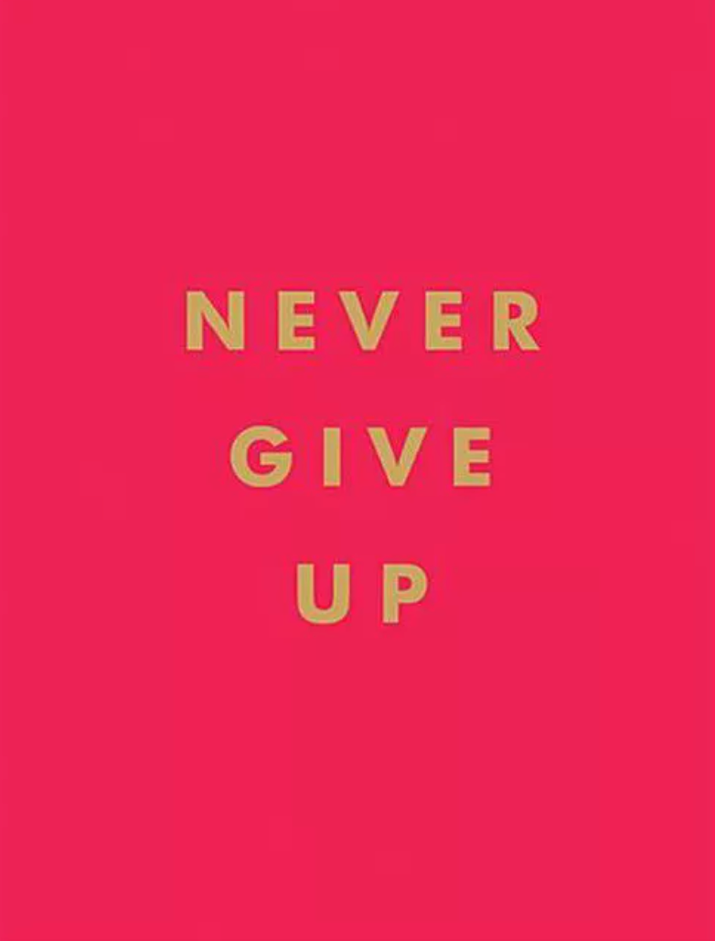 Never Give Up Book