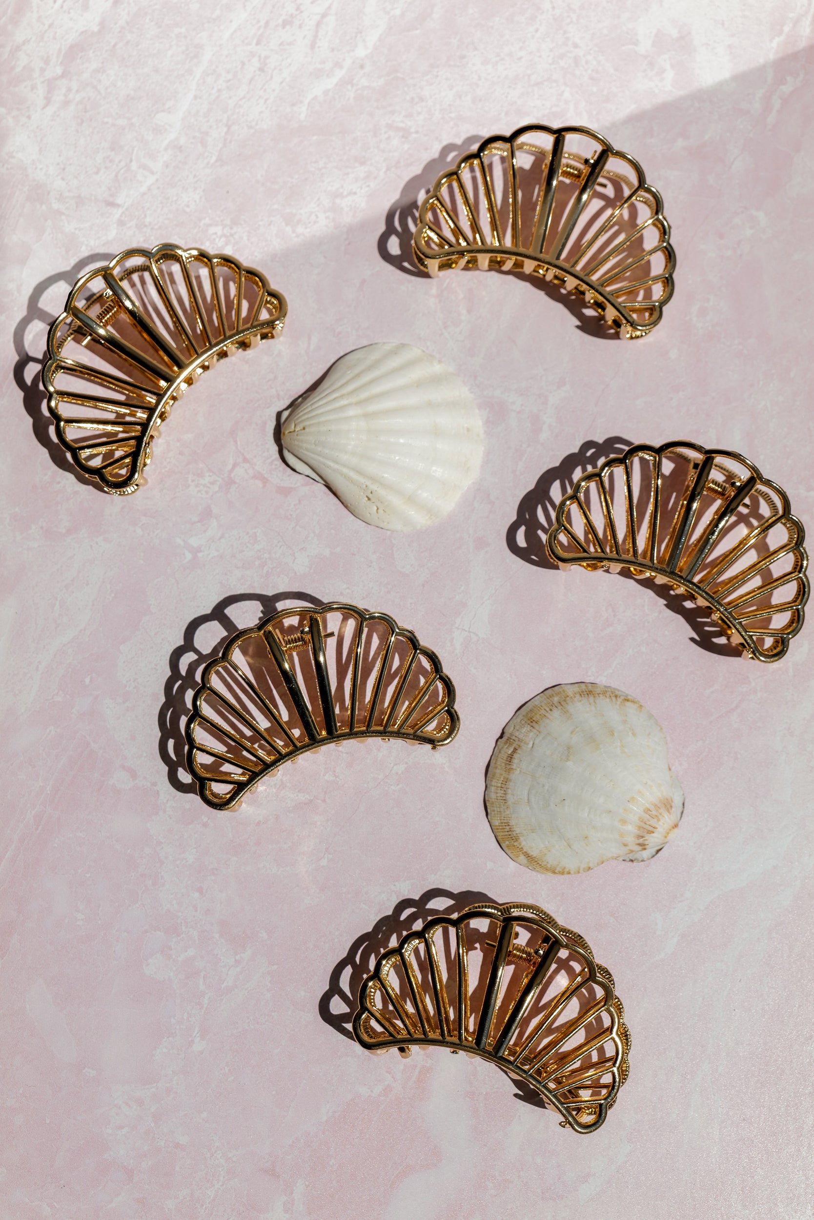 Clam Shell Clip