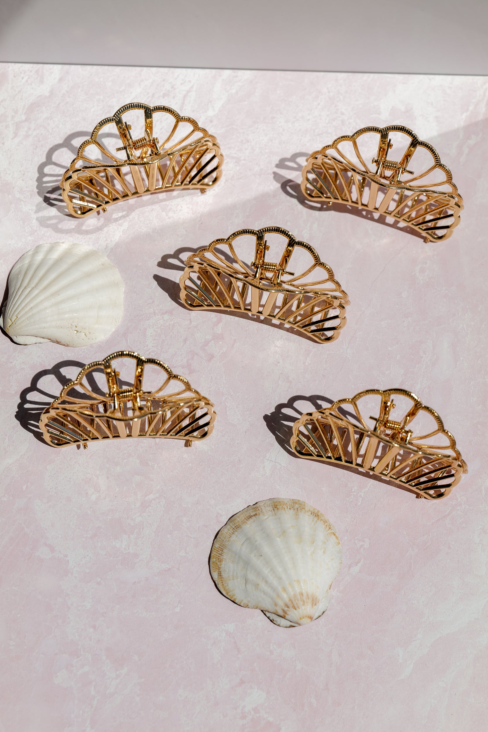 Clam Shell Clip