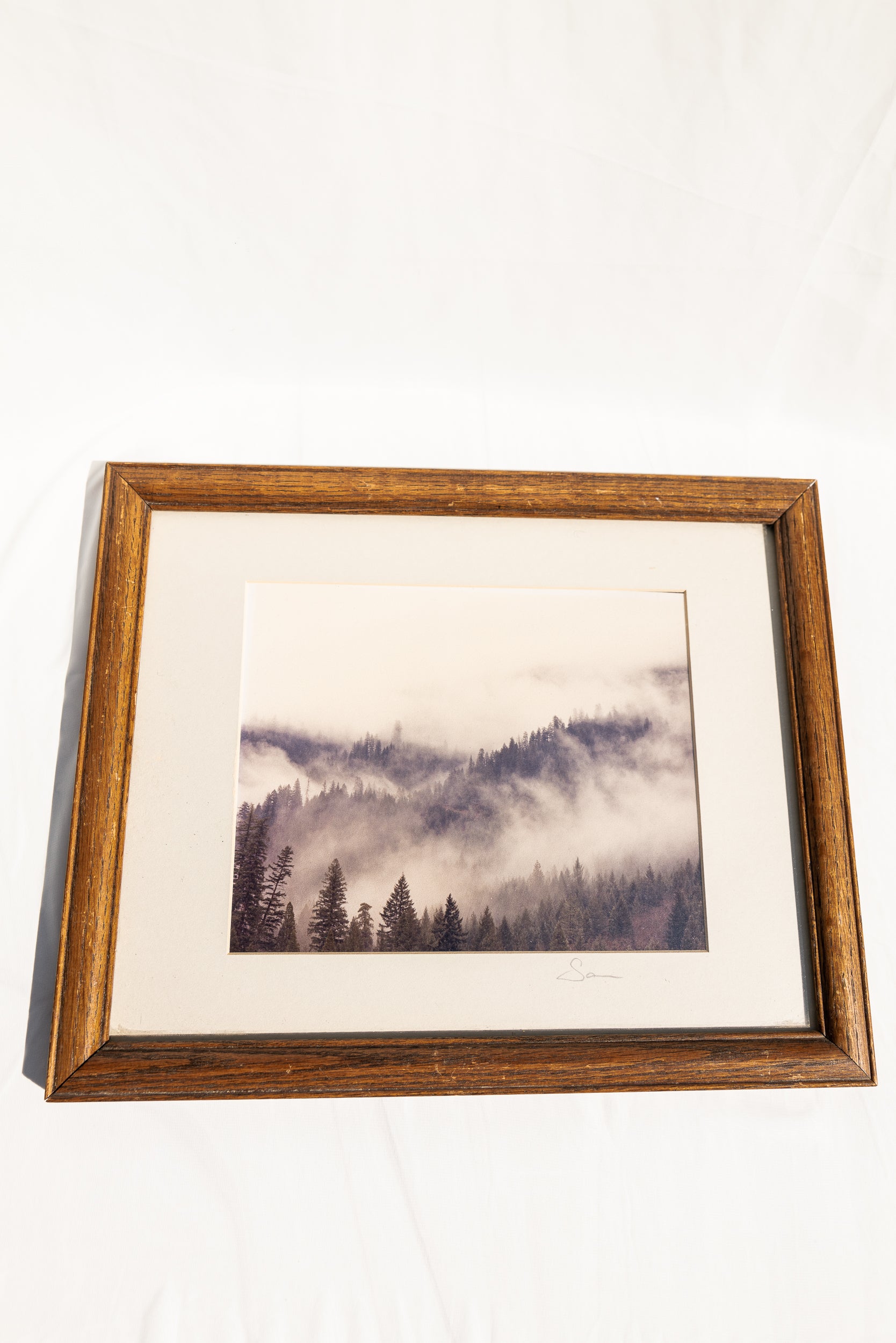 1991 Antique California Tree