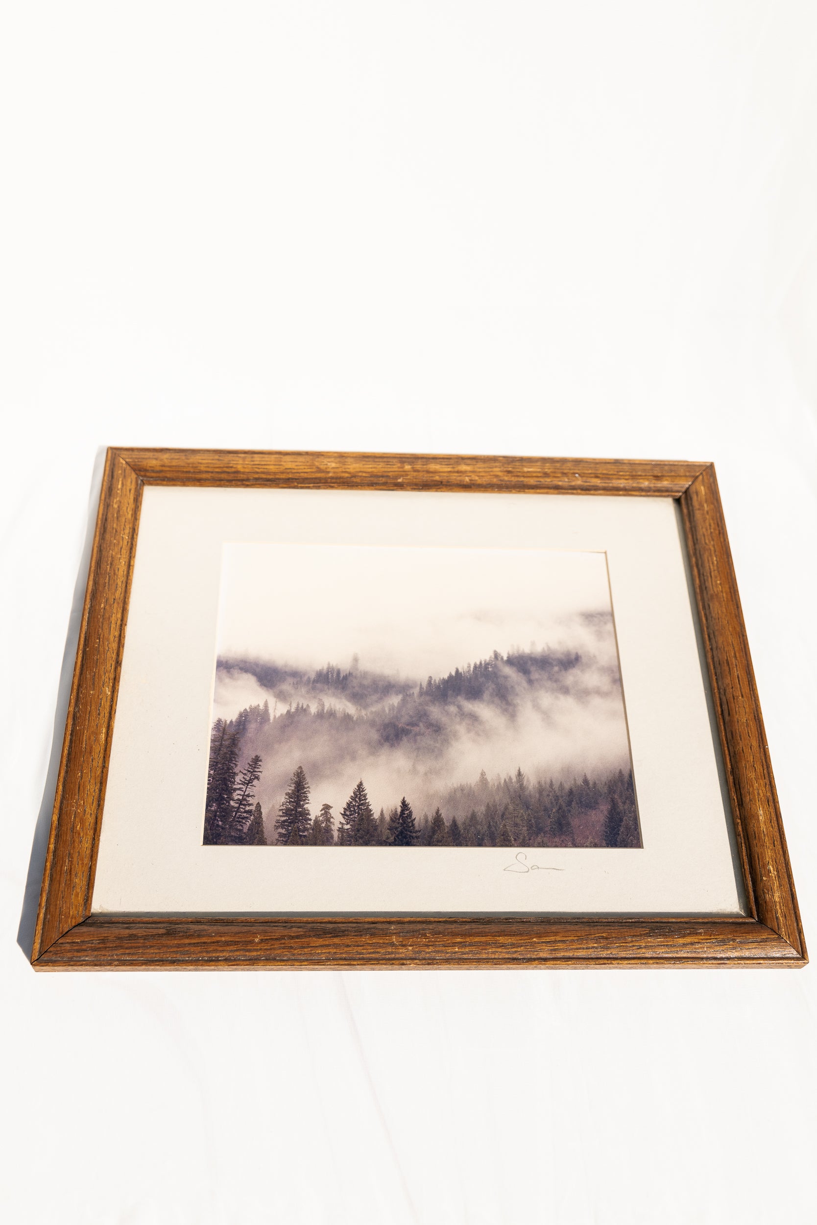 1991 Antique California Tree