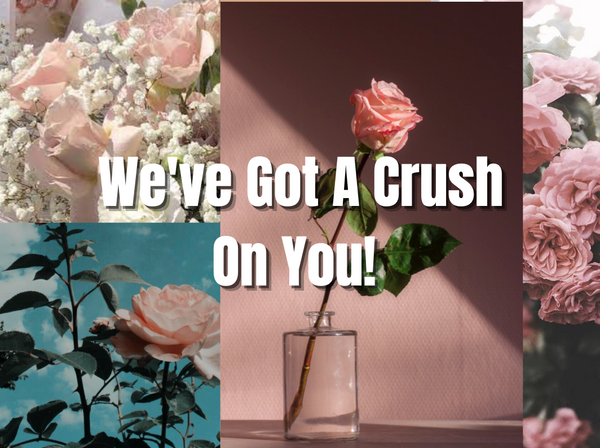 We've Got A Crush On You!