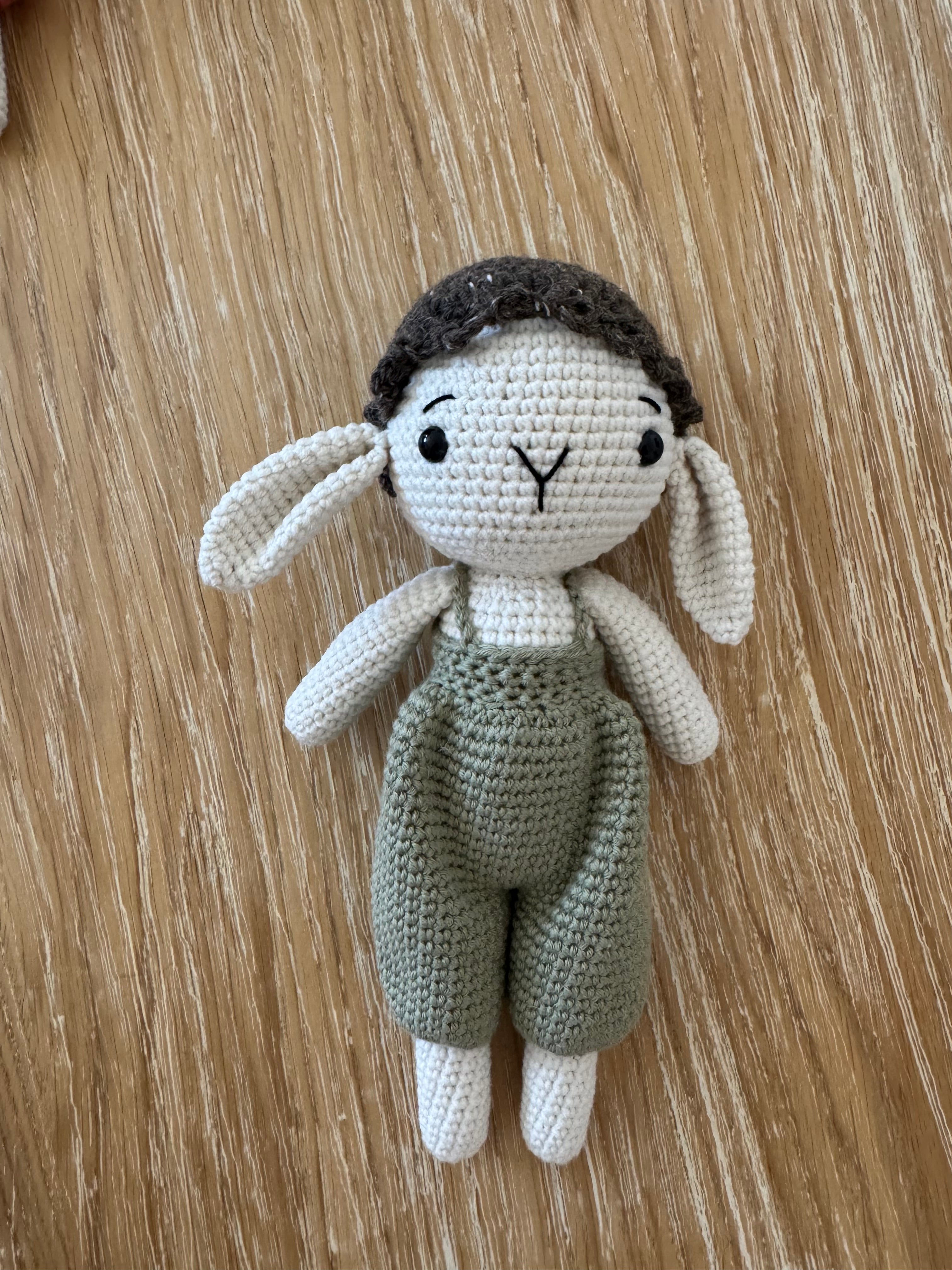Sage Mochi Bunny