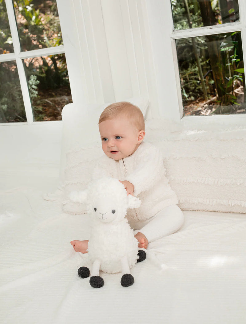 Lamb Buddie