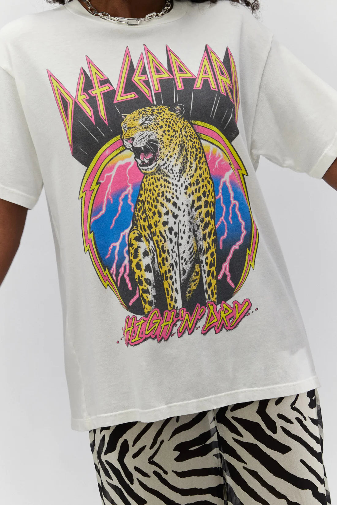 Def Leppard High N Dry