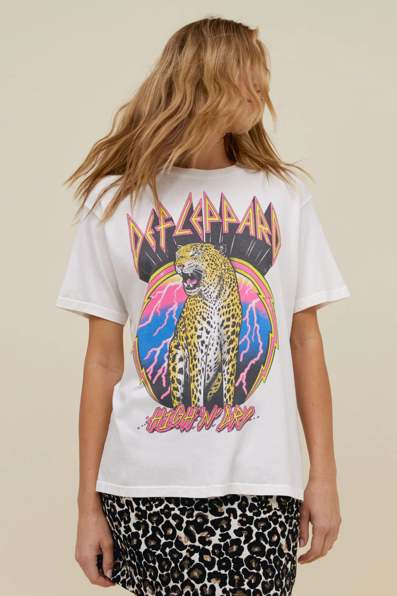 Def Leppard High N Dry