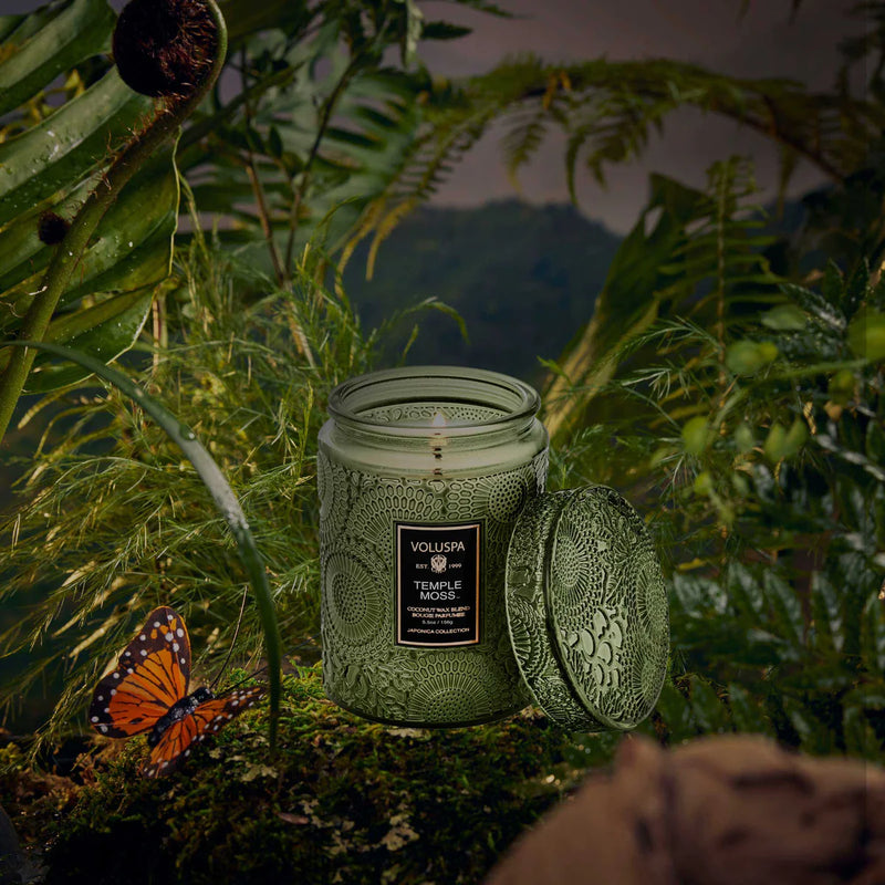 Temple Moss Small Jar 5.5oz