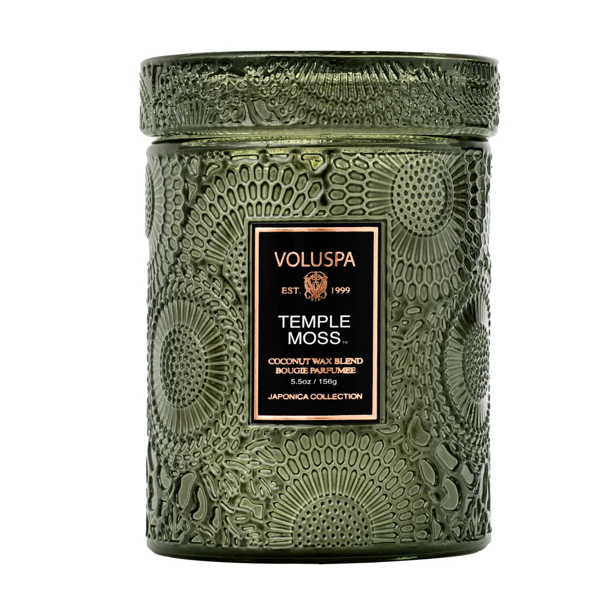 Temple Moss Small Jar 5.5oz