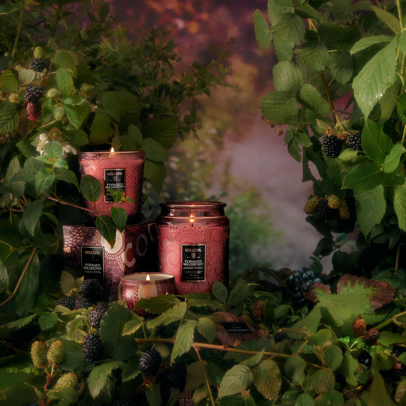 Foraged Wildberry 18oz Large Jar