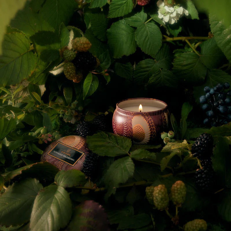 Foraged Wildberry Mni Tin