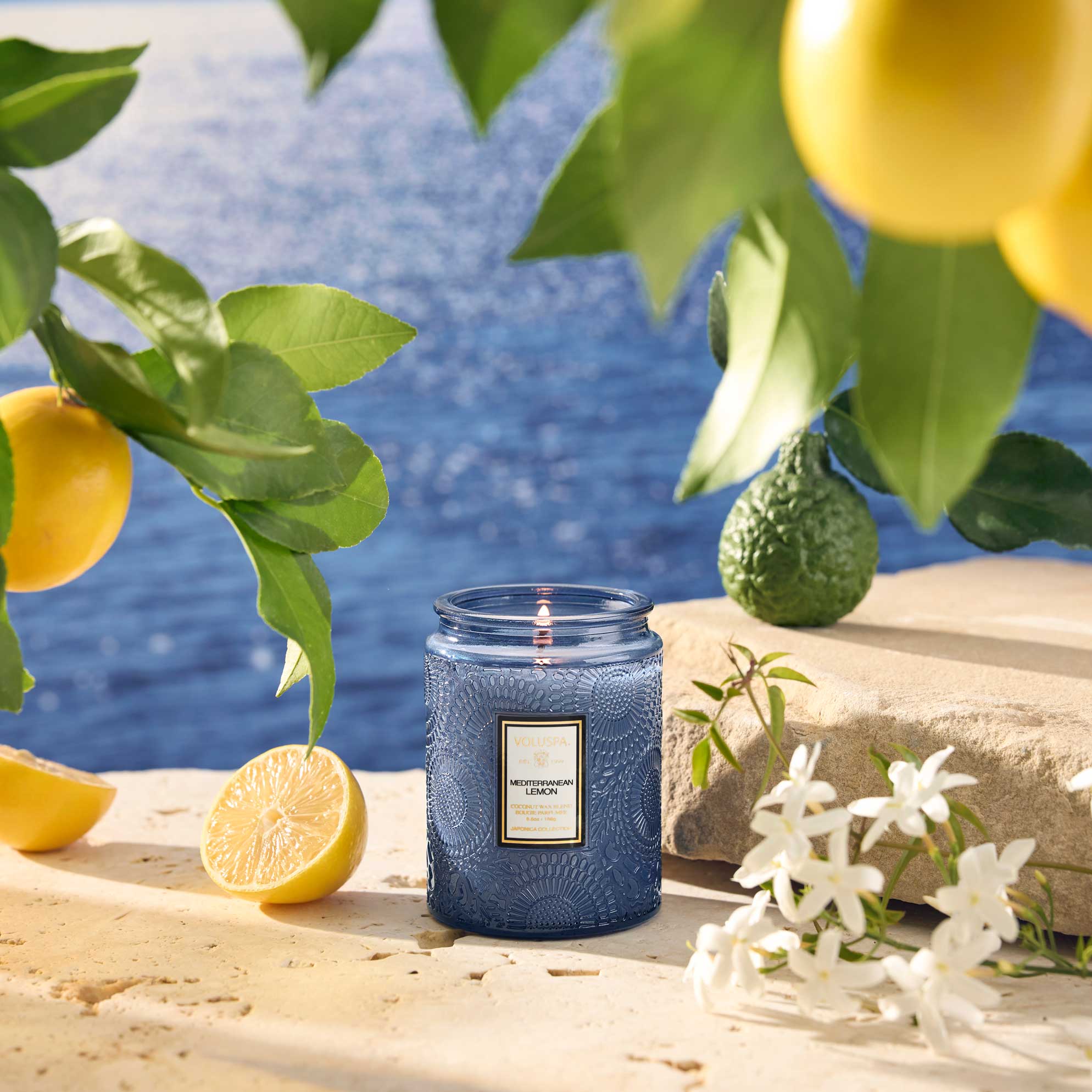 Mediterranean Lemon 5.5oz Jar
