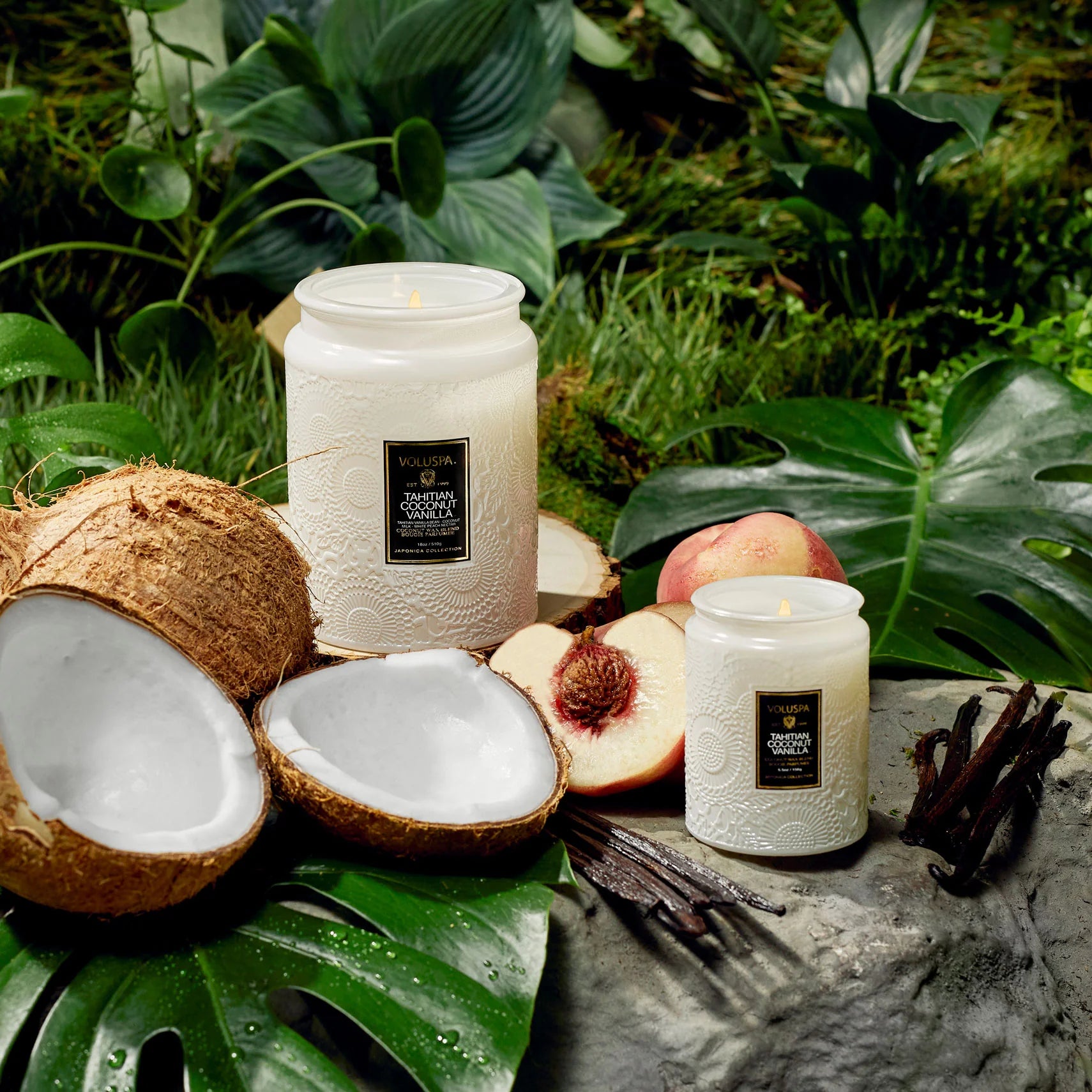 Tahitian Coconut 5.5oz Jar