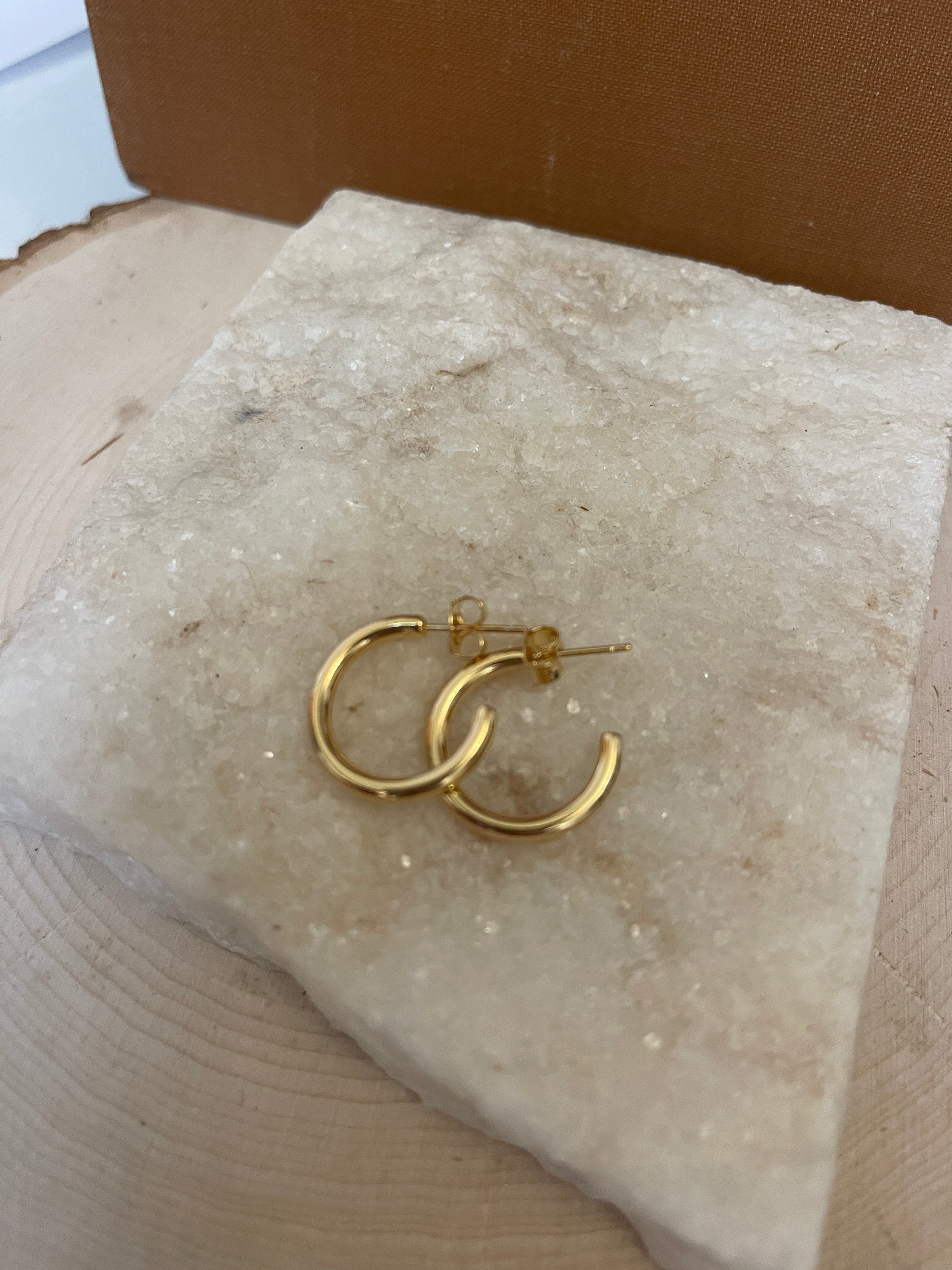 Precious Gold Hoops