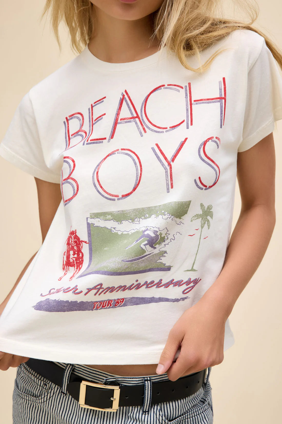 Beach Boys Silver Anniversary