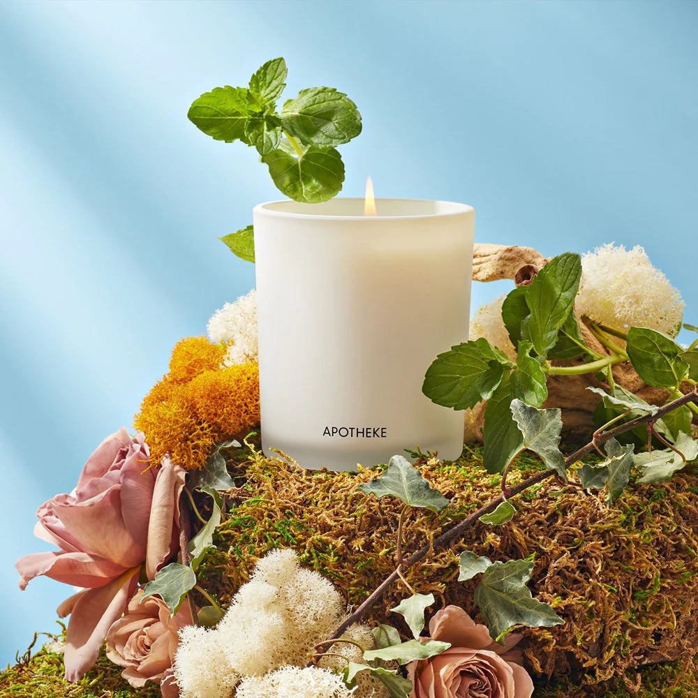 Wild Mint and Ivy Classic Candle