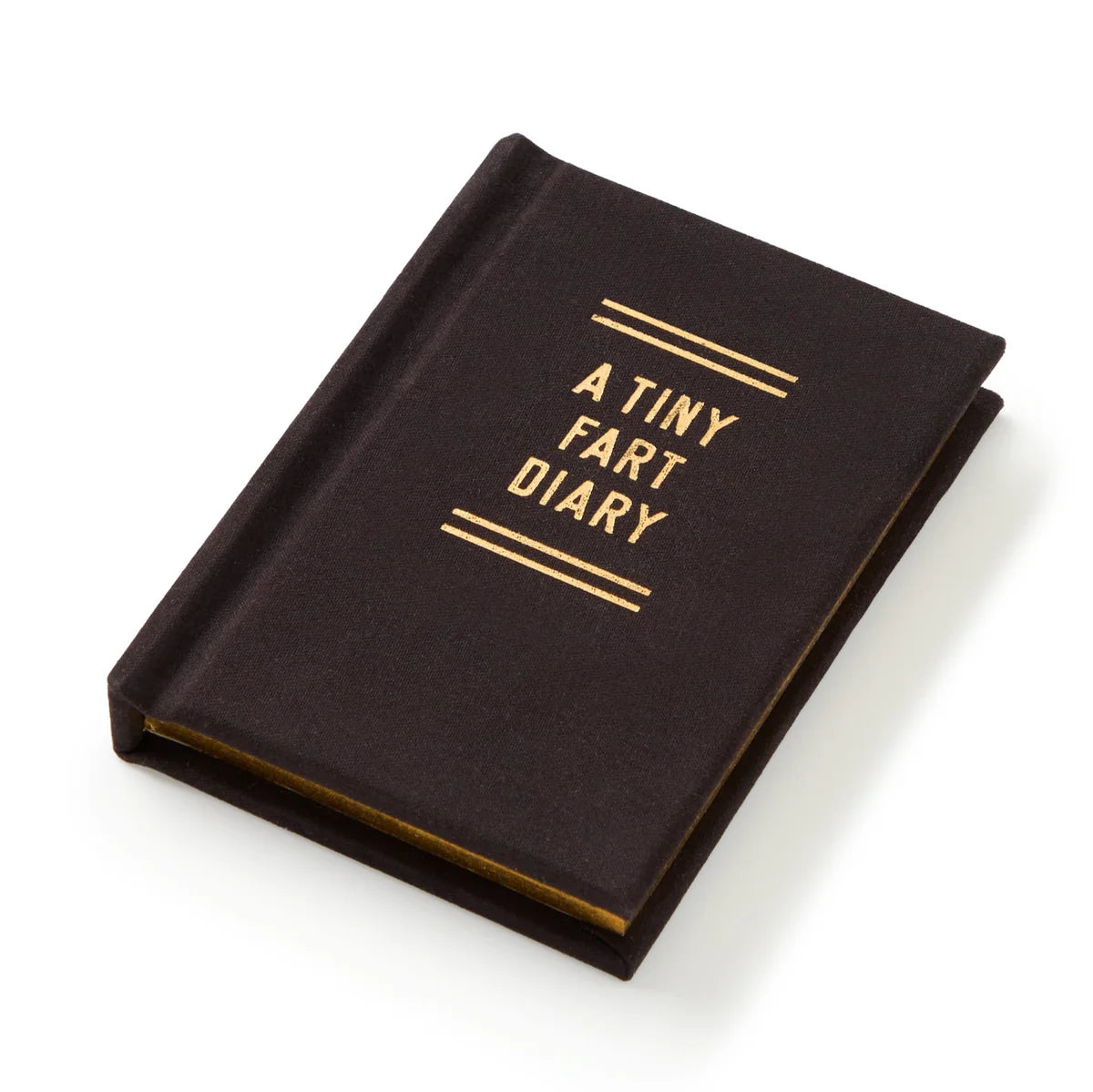 A Tiny Fart Diary