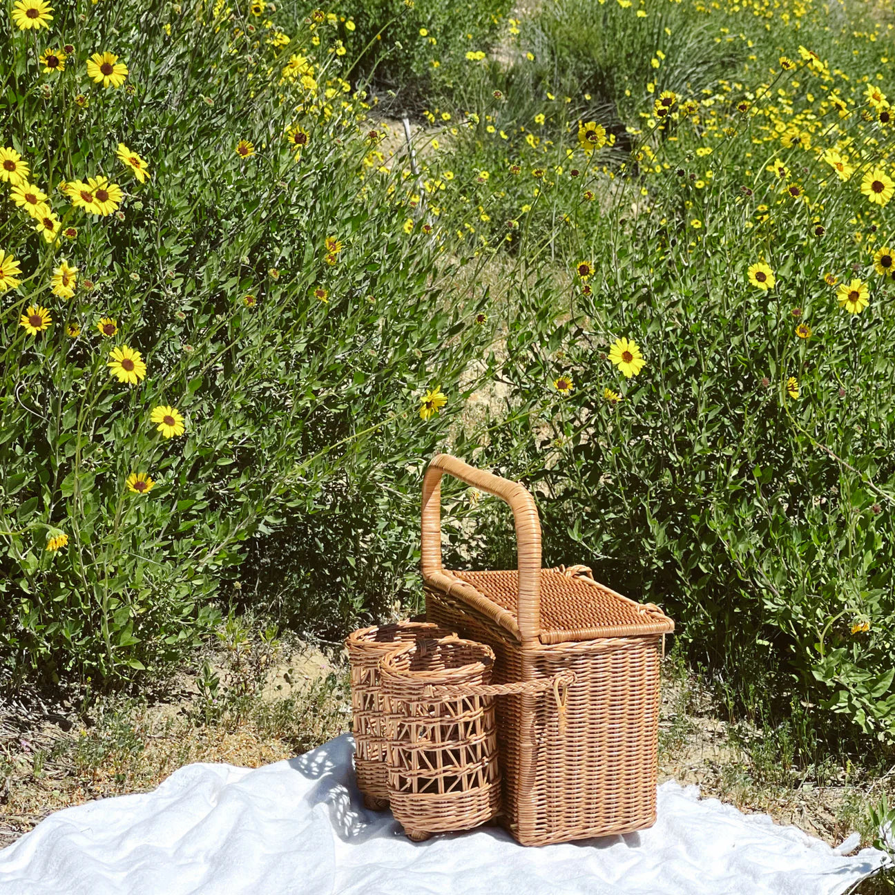 Soleil Picnic Basket