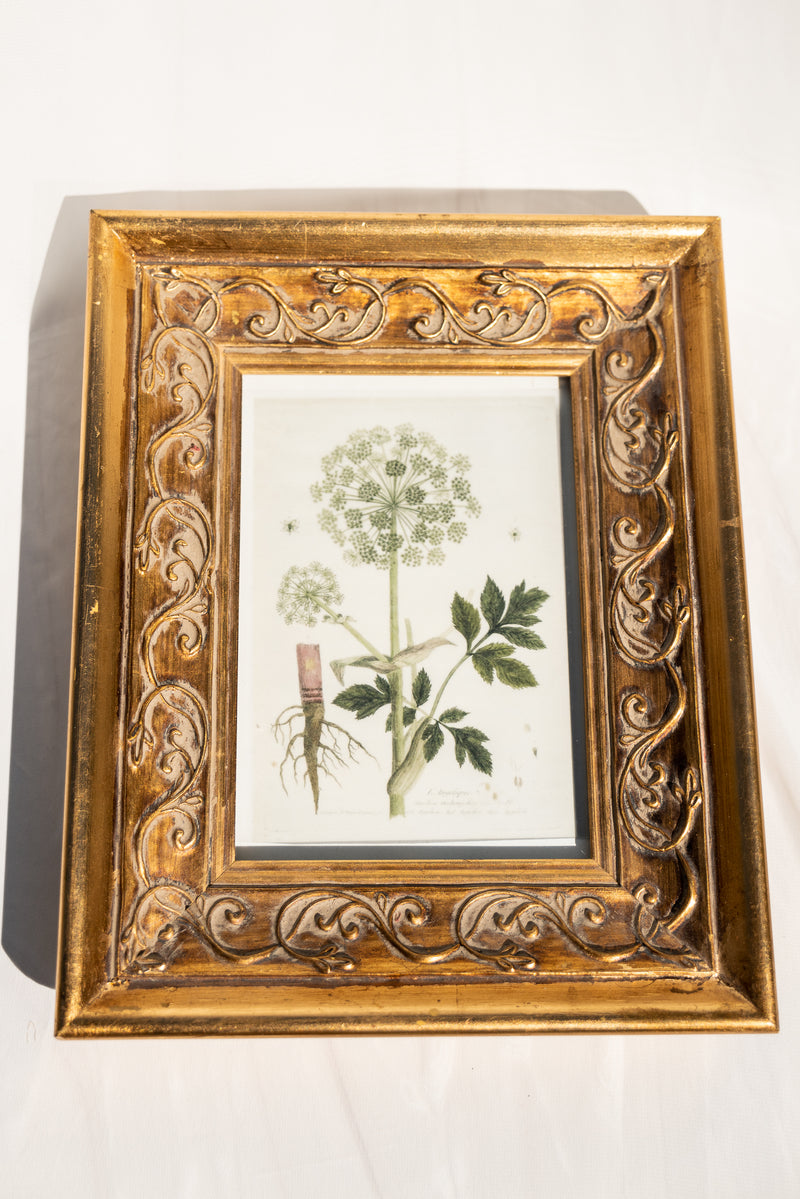 Framed Flower Antique Artwork